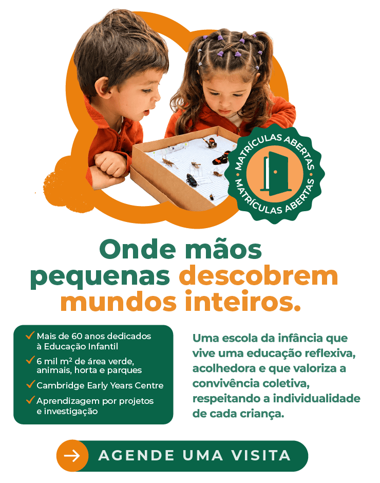 Crianças observando insetos em uma caixa de investigação na Casinha Pequenina